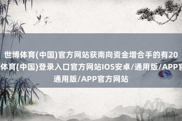 世博体育(中国)官方网站获南向资金增合手的有20天-世博体育(中国)登录入口官方网站IOS安卓/通用版/APP官方网站