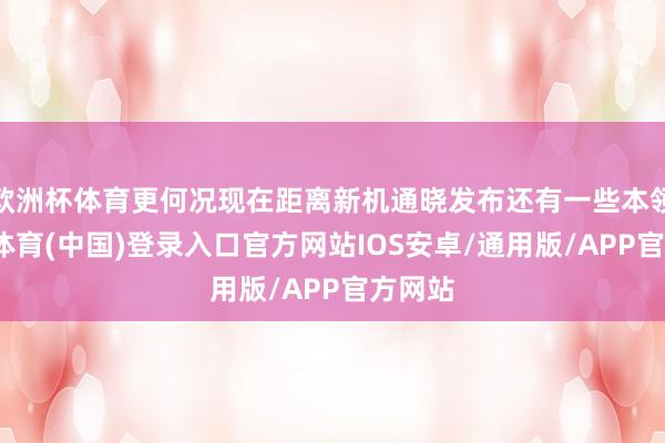 欧洲杯体育更何况现在距离新机通晓发布还有一些本领-世博体育(中国)登录入口官方网站IOS安卓/通用版/APP官方网站