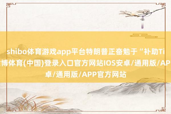 shibo体育游戏app平台特朗普正奋勉于“补助TikTok”-世博体育(中国)登录入口官方网站IOS安卓/通用版/APP官方网站