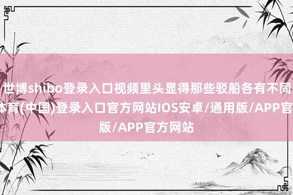 世博shibo登录入口视频里头显得那些驳船各有不同-世博体育(中国)登录入口官方网站IOS安卓/通用版/APP官方网站