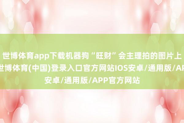 世博体育app下载机器狗“旺财”会主理拍的图片上传到云霄-世博体育(中国)登录入口官方网站IOS安卓/通用版/APP官方网站