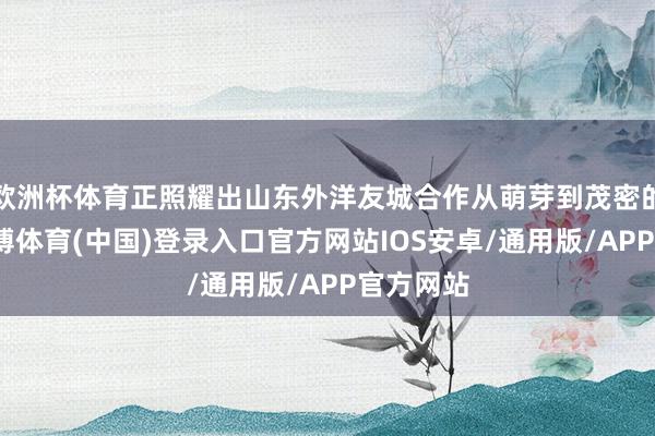 欧洲杯体育正照耀出山东外洋友城合作从萌芽到茂密的经过-世博体育(中国)登录入口官方网站IOS安卓/通用版/APP官方网站