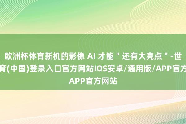 欧洲杯体育新机的影像 AI 才能"还有大亮点"-世博体育(中国)登录入口官方网站IOS安卓/通用版/APP官方网站