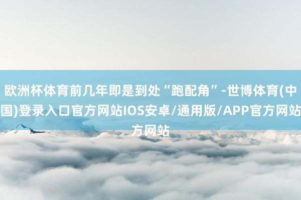 欧洲杯体育前几年即是到处“跑配角”-世博体育(中国)登录入口官方网站IOS安卓/通用版/APP官方网站