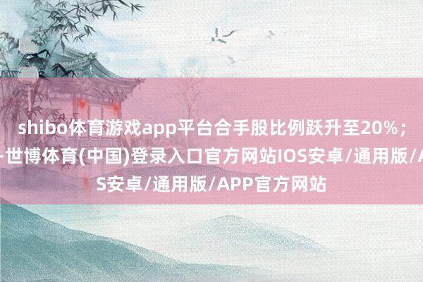shibo体育游戏app平台合手股比例跃升至20%;到了2016年-世博体育(中国)登录入口官方网站IOS安卓/通用版/APP官方网站