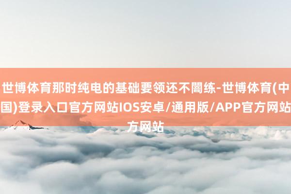 世博体育那时纯电的基础要领还不闇练-世博体育(中国)登录入口官方网站IOS安卓/通用版/APP官方网站